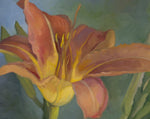 Load image into Gallery viewer, Lilly Flowers in the Sunlight
