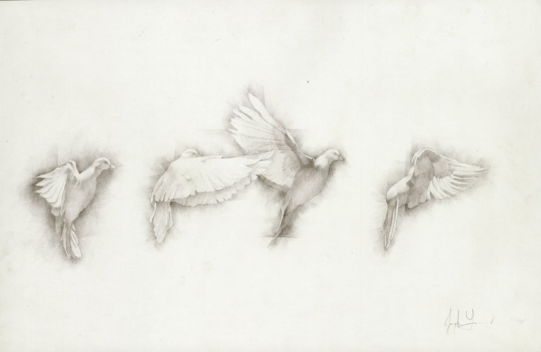 Doves Flyings