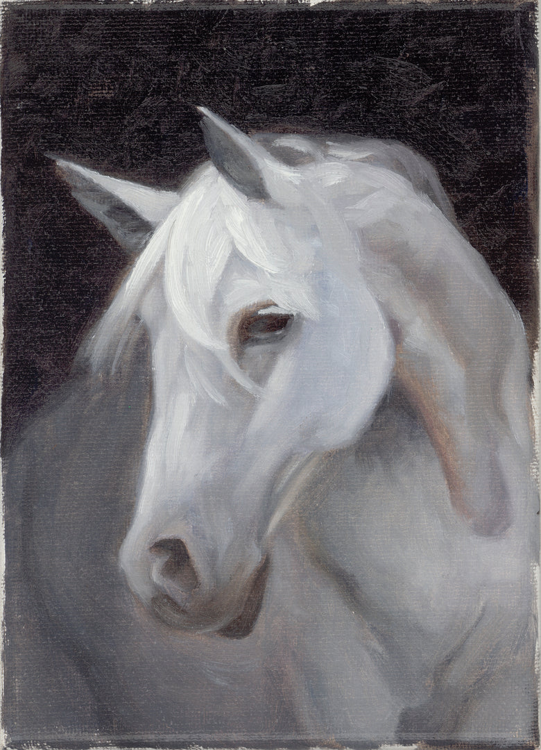 White Horse Painting